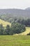 Lush green pine forest and rolling meadows from 9th mile view point near ooty hill station