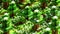 Lush green pixel forest with abstract cubic trees. Minecraft texture world. AI generated