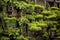 lush green plants growing in stacked containers