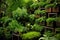 lush green plants growing in stacked containers