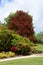 Lush green and red foliage of trees and shrubs in Calverley Grounds