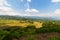 Lush green rice field, expansive landscape in Indonesia