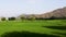 Lush green rice fields beautiful landscape scenery view