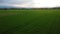 Lush green rice fields seen from an aerial perspective