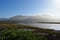 Lush Green River Estuary Landscape