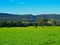 Lush Green Rural pasture, NSW, Australia