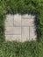 Lush Green Sod Frames a cement block and forms a beautiful and practical walkway in a backyard