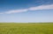 Lush green spring grass in prairie pasture