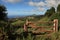 Lush green St Helena Island country landscape