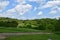 Lush Green Tree along a path at Oregon Trial Nature Park in Kansas