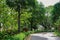 Lush green trees and plants lining a curved road in city. Bright sunny day with light and shadows. Street lamps line the side.