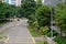 Lush green trees and plants lining empty road in city. Street lamps on road side. Backdrop for banner advertising, mock up for