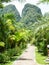 Lush green tropical retreat resort alley at Khao Sok lake