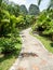 Lush green tropical retreat resort alley at Khao Sok lake