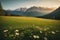 Lush Green Valley and Majestic Distant Mountains