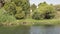 Lush green vegetation grows on the riverbank