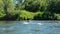 Lush green vegetation grows on the riverbank - grass, shrubs.