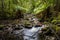 Lush green Waterfall in Tasmania
