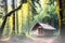 Lush greenery and hazy sunlight surround a quaint house nestled between the trees in this tranquil jungle of nature and