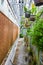 Lush Greenhouse Oasis with Tropical Plants and Rustic Wall