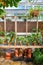 Lush Greenhouse Oasis with Tropical Plants and Terracotta Pots