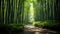 Lush greens and strong vertical lines of trees in a bamboo grove