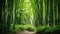 Lush greens and strong vertical lines of trees in a bamboo grove