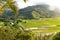 Lush Hanalei Valley on Hawaiian Island Kauai