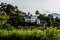 Lush Hills with Residential Houses in Kandy