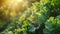 Lush kale leaves bask in the golden sunlight, with dewdrops adorning their rich, green surface, showcasing organic growth and