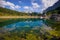 Lush lake ecosystem of the Double lake in the Slovenian Triglav Lakes walley