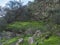 Lush landscape of Barranco de los Cernicalos with subtropical plants and cacti. Gran Canaria, Canary Islands, Spain