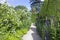 Lush landscaped garden with white flowers, topiary trees