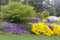 Lush Landscaping with Purple, Yellow and White Flowers