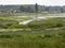 Lush marshland at Courtenay estuary