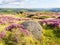 Lush meadow of the Peak District in  Summer