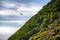 lush meadows are formed by colony of sea birds