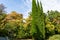 Lush Mediterranean cypress Cupressus sempervirens or Italian cypress, pencil pine against beautiful sunny autumn landscape
