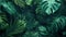 Lush monstera and tropical foliage in dark green hues background.