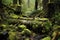 lush moss covering burnt logs and stones after a wildfire