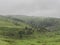 Lush mountain foothill in storm