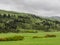 Lush mountain foothill in storm