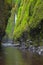 Lush narrow canyon waterfall