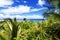 Lush palm trees on a tropical island