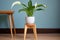 lush peace lily in a ceramic pot on a stool