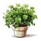 Lush Potted Plant with Variegated Green Leaves in a Two-Tone Pot