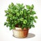 Lush Potted Plant with Variegated Green Leaves in a Two-Tone Pot