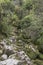 Lush rain forest vegetation on little creek at Bark bay estuary, near Kaiteriteri, Abel Tasman park,  New Zealand