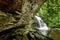 Lush Rain Forest Waterfall