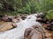 Lush River with natural forest background. hidden nature beauty